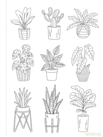 Miniature Inspirations: Tiny Triumphs to Color and Display - Maddie Morales [KSIĄŻKA]