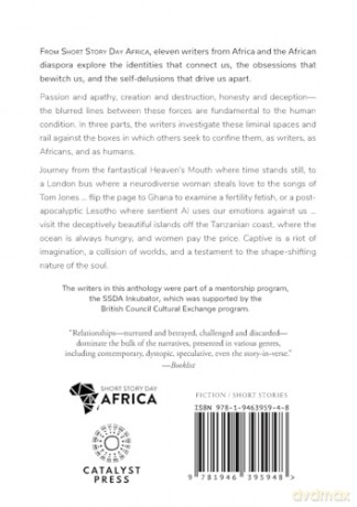 Captive: New Short Fiction from Africa - Sola Njoku [KSIĄŻKA]