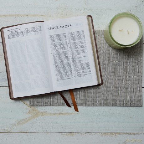 NRSV Catholic Edition Gift Bible, Black Leathersoft (Comfort Print, Holy Bible, Complete Catholic Bible, NRSV CE): Holy Bible - Catholic Bible Press [KSIĄŻKA]