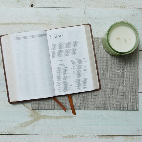 NRSV Catholic Edition Gift Bible, Black Leathersoft (Comfort Print, Holy Bible, Complete Catholic Bible, NRSV CE): Holy Bible - Catholic Bible Press [KSIĄŻKA]