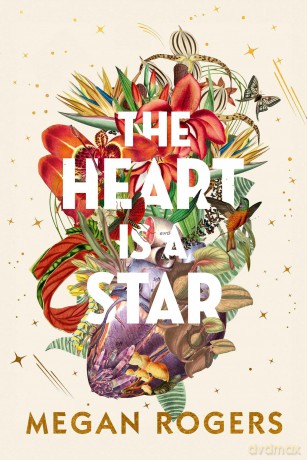 Heart is a Star: A Novel - Megan Rogers [KSIĄŻKA]