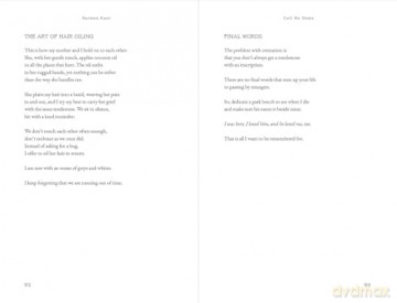 Call Me Home: Poems - Harman Kaur [KSIĄŻKA]