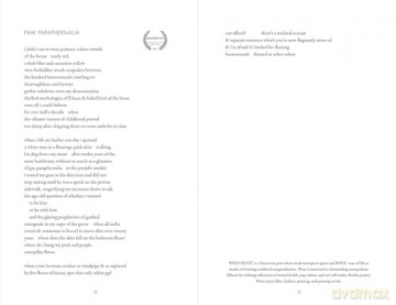 The Central Avenue Poetry Prize 2025 - Beau Adler [KSIĄŻKA]