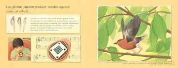 Las plumas: No son sólo para volar - Melissa Stewart [KSIĄŻKA]