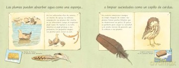 Las plumas: No son sólo para volar - Melissa Stewart [KSIĄŻKA]