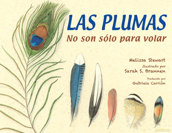 Las plumas: No son sólo para volar - Melissa Stewart [KSIĄŻKA]