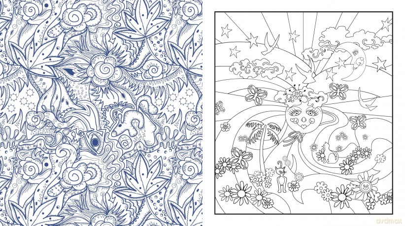 Color Me Cannabis: A Coloring Experience for a Creative High-More Than 100 Pages to Color (Chartwell Coloring Books) - Editors of Chartwell Books [KSIĄŻKA]