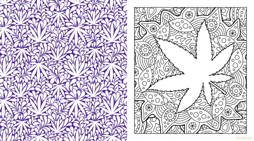 Color Me Cannabis: A Coloring Experience for a Creative High-More Than 100 Pages to Color (Chartwell Coloring Books) - Editors of Chartwell Books [KSIĄŻKA]