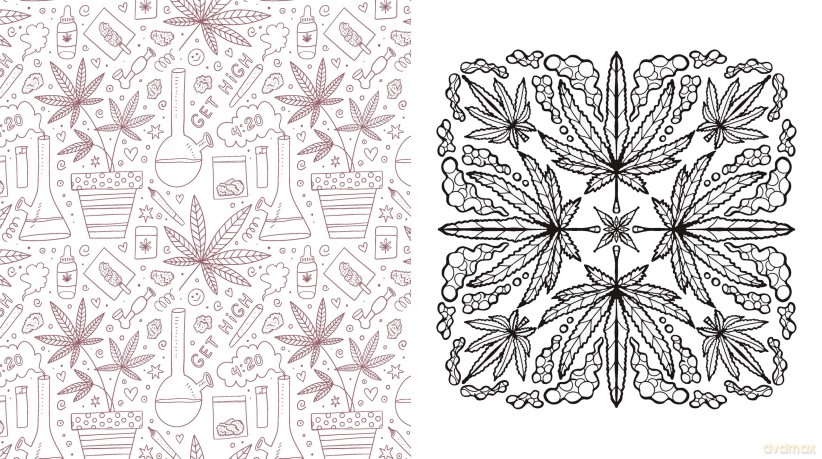 Color Me Cannabis: A Coloring Experience for a Creative High-More Than 100 Pages to Color (Chartwell Coloring Books) - Editors of Chartwell Books [KSIĄŻKA]