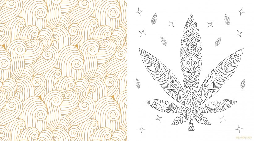 Color Me Cannabis: A Coloring Experience for a Creative High-More Than 100 Pages to Color (Chartwell Coloring Books) - Editors of Chartwell Books [KSIĄŻKA]