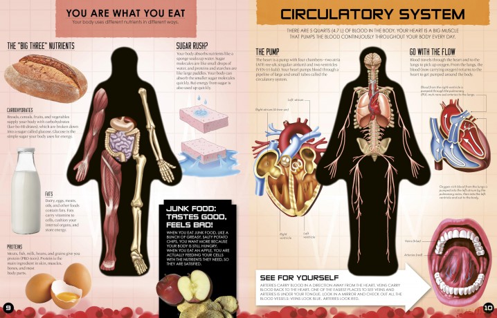 Inside Out Human Body: Explore the World's Most Amazing Machine - You! (Inside Out, Chartwell) - Luann Columbo [KSIĄŻKA]