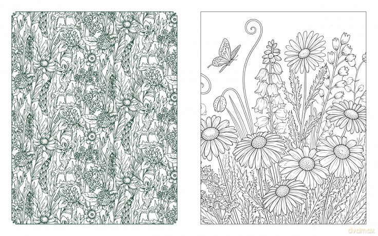 Wildflowers in Bloom Coloring Book: Over 150 Pages of Beautiful Botanicals to Color with Stunning Sprayed Edges (Chartwell Deluxe Spredges Editions) - Editors of Chartwell Books [KSIĄŻKA]