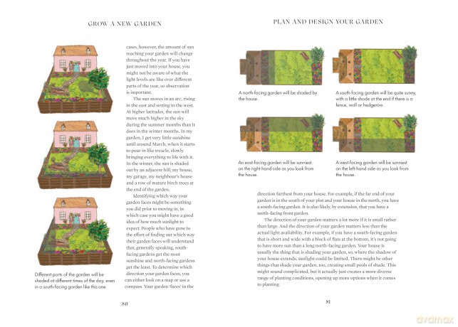 Grow a New Garden: Plan, design and transform any outdoor space - Becky Searle [KSIĄŻKA]