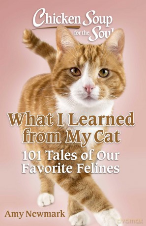 Chicken Soup for the Soul: What I Learned from My Cat: 101 Tales of Our Favorite Felines - Amy Newmark [KSIĄŻKA]