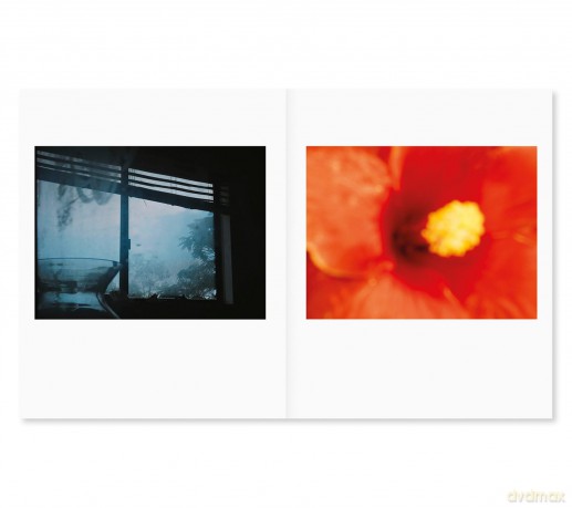 between the skin and sea - Katrin Koenning [KSIĄŻKA]