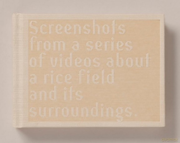 Screenshots of a rice field and its surroundings - Cintia Tortosa Santisteban [KSIĄŻKA]