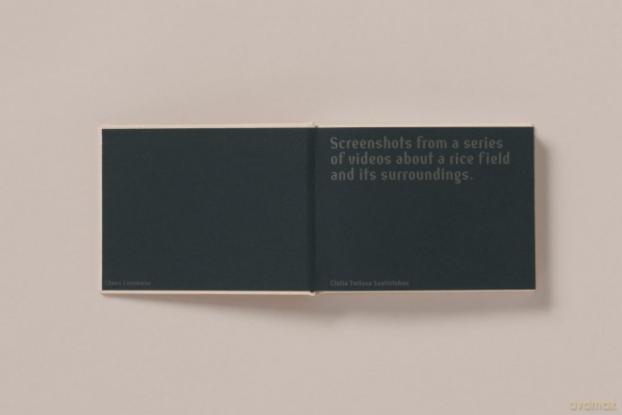Screenshots of a rice field and its surroundings - Cintia Tortosa Santisteban [KSIĄŻKA]