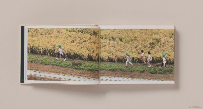 Screenshots of a rice field and its surroundings - Cintia Tortosa Santisteban [KSIĄŻKA]