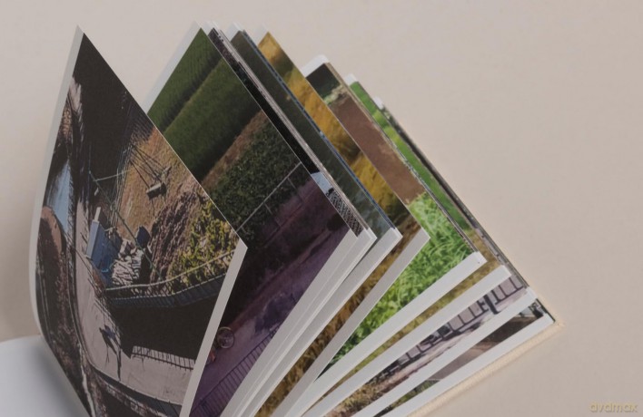 Screenshots of a rice field and its surroundings - Cintia Tortosa Santisteban [KSIĄŻKA]