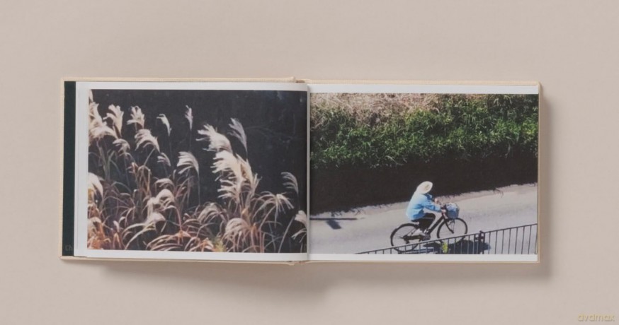 Screenshots of a rice field and its surroundings - Cintia Tortosa Santisteban [KSIĄŻKA]