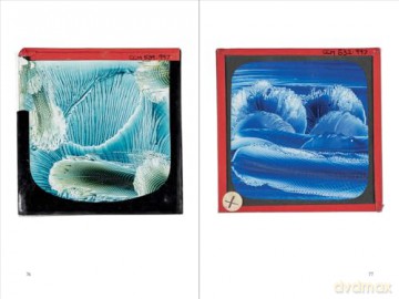 Margaret Watts Hughes: Sound May Be Seen - Christine Burgin [KSIĄŻKA]