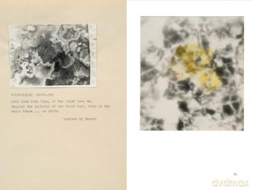 Richard Sharpe Shaver: Some Stones Are Ancient Books - Christine Burgin [KSIĄŻKA]