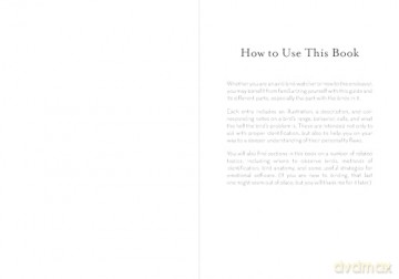 A Dumb Birds Field Guide to the Worst Birds Ever - Matt Kracht [KSIĄŻKA]