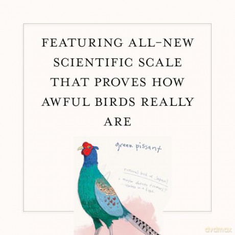A Dumb Birds Field Guide to the Worst Birds Ever - Matt Kracht [KSIĄŻKA]