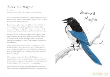 A Dumb Birds Field Guide to the Worst Birds Ever - Matt Kracht [KSIĄŻKA]