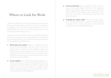 A Dumb Birds Field Guide to the Worst Birds Ever - Matt Kracht [KSIĄŻKA]