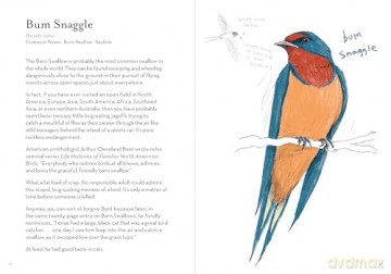 A Dumb Birds Field Guide to the Worst Birds Ever - Matt Kracht [KSIĄŻKA]