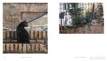 Cats of Rome - Traer Scott [KSIĄŻKA]