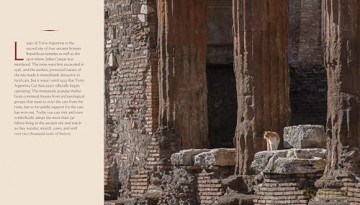 Cats of Rome - Traer Scott [KSIĄŻKA]