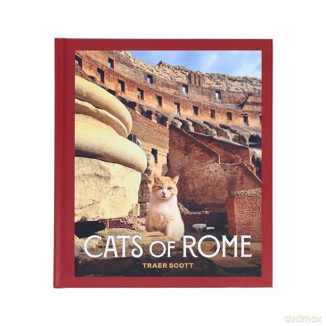 Cats of Rome - Traer Scott [KSIĄŻKA]