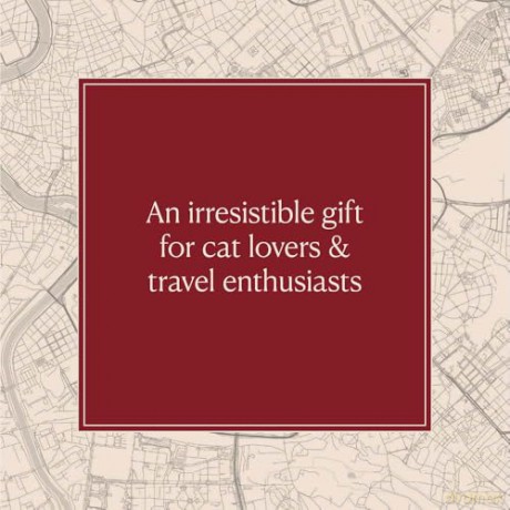 Cats of Rome - Traer Scott [KSIĄŻKA]