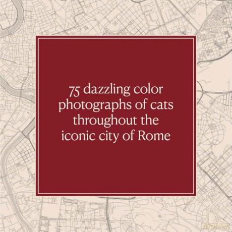 Cats of Rome - Traer Scott [KSIĄŻKA]