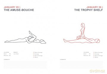 Position of the Day Playbook Revised and Updated: Sex Every Day in Every Way (Nerve) - Chronicle Books [KSIĄŻKA]