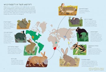 Rabbitology: The Ultimate Encyclopedia - Ilaria Demonti [KSIĄŻKA]