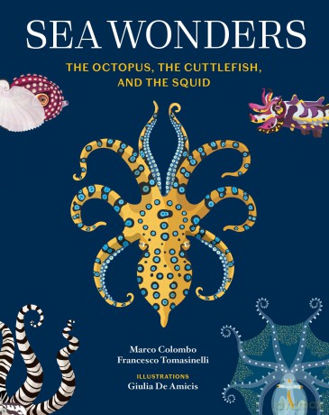 Sea Wonders: The Octopus, the Cuttlefish, and the Squid - Marco Colombo [KSIĄŻKA]
