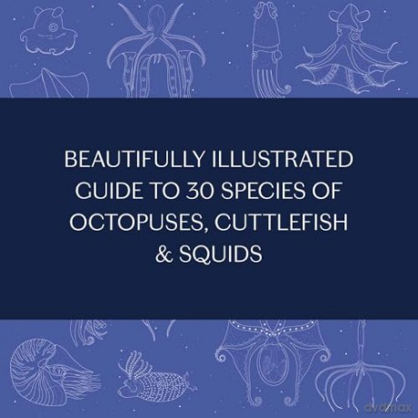 Sea Wonders: The Octopus, the Cuttlefish, and the Squid - Marco Colombo [KSIĄŻKA]