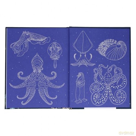 Sea Wonders: The Octopus, the Cuttlefish, and the Squid - Marco Colombo [KSIĄŻKA]