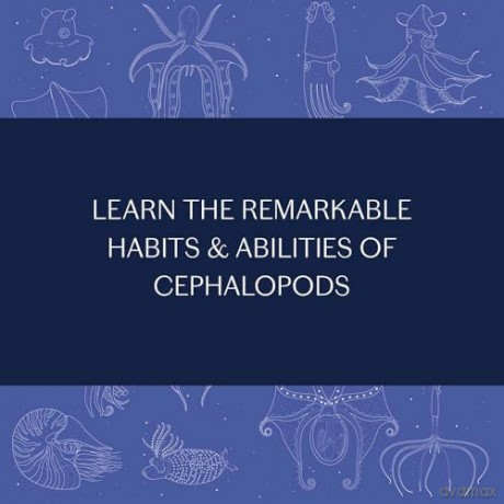Sea Wonders: The Octopus, the Cuttlefish, and the Squid - Marco Colombo [KSIĄŻKA]
