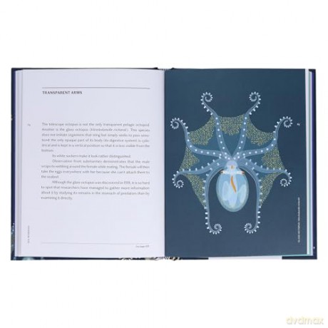 Sea Wonders: The Octopus, the Cuttlefish, and the Squid - Marco Colombo [KSIĄŻKA]