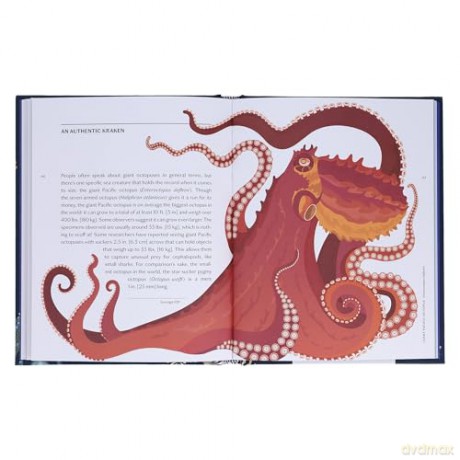Sea Wonders: The Octopus, the Cuttlefish, and the Squid - Marco Colombo [KSIĄŻKA]