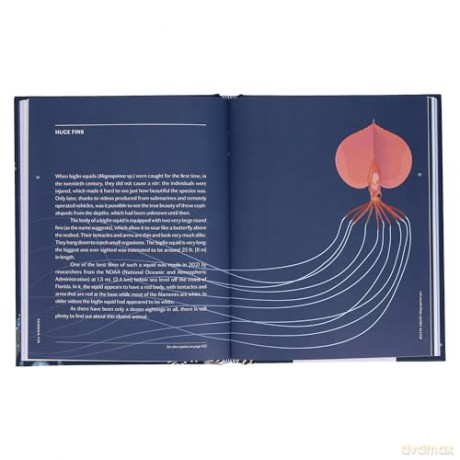 Sea Wonders: The Octopus, the Cuttlefish, and the Squid - Marco Colombo [KSIĄŻKA]