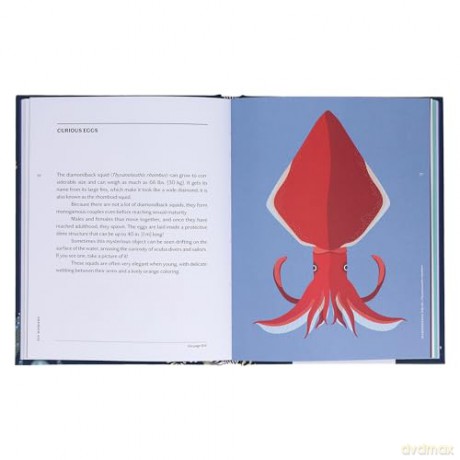 Sea Wonders: The Octopus, the Cuttlefish, and the Squid - Marco Colombo [KSIĄŻKA]