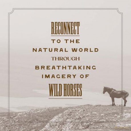 The Wild Horse Effect: Awe, Well-Being, and the Transformative Power of Nature - Chad Hanson [KSIĄŻKA]