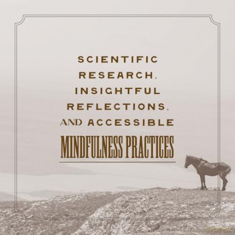 The Wild Horse Effect: Awe, Well-Being, and the Transformative Power of Nature - Chad Hanson [KSIĄŻKA]