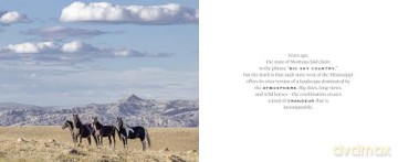 The Wild Horse Effect: Awe, Well-Being, and the Transformative Power of Nature - Chad Hanson [KSIĄŻKA]