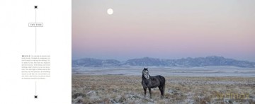 The Wild Horse Effect: Awe, Well-Being, and the Transformative Power of Nature - Chad Hanson [KSIĄŻKA]